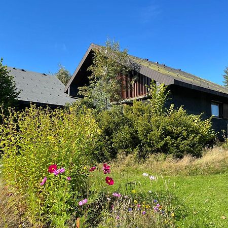 Holiday Home Rechbergblick - Beu302 By Interhome Bernau im Schwarzwald Dış mekan fotoğraf