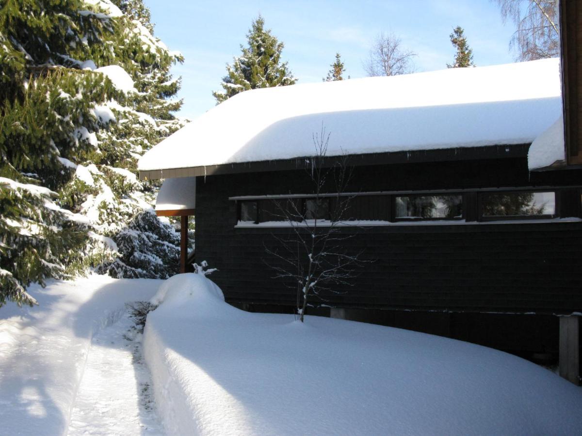 Holiday Home Rechbergblick - Beu302 By Interhome Bernau im Schwarzwald Dış mekan fotoğraf