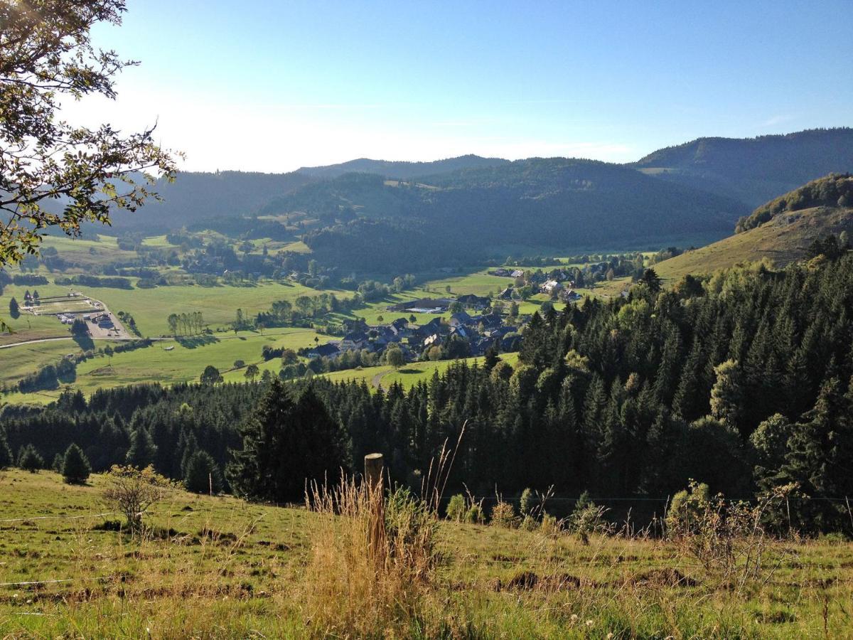 Holiday Home Rechbergblick - Beu302 By Interhome Bernau im Schwarzwald Dış mekan fotoğraf