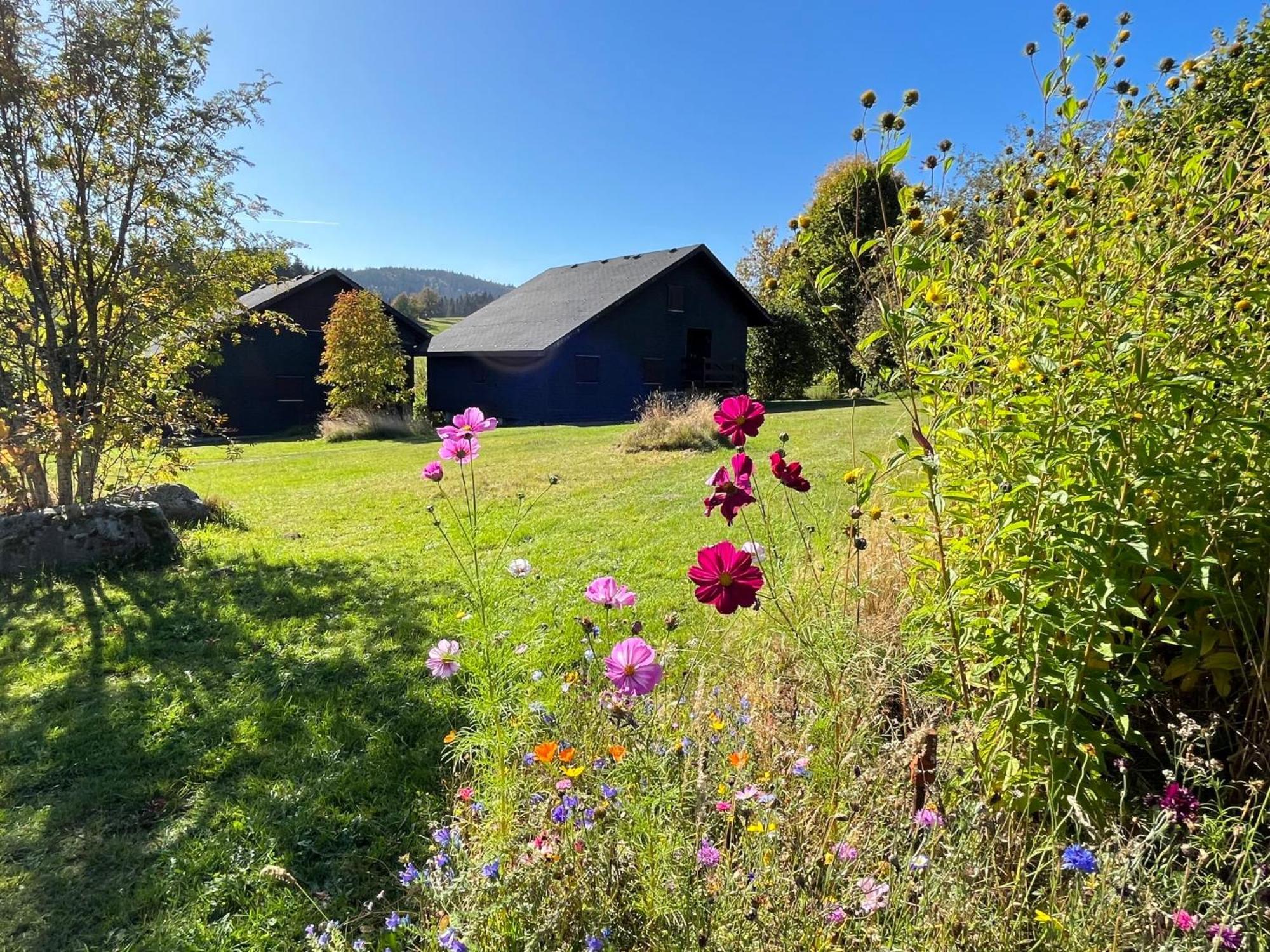 Holiday Home Rechbergblick - Beu302 By Interhome Bernau im Schwarzwald Dış mekan fotoğraf