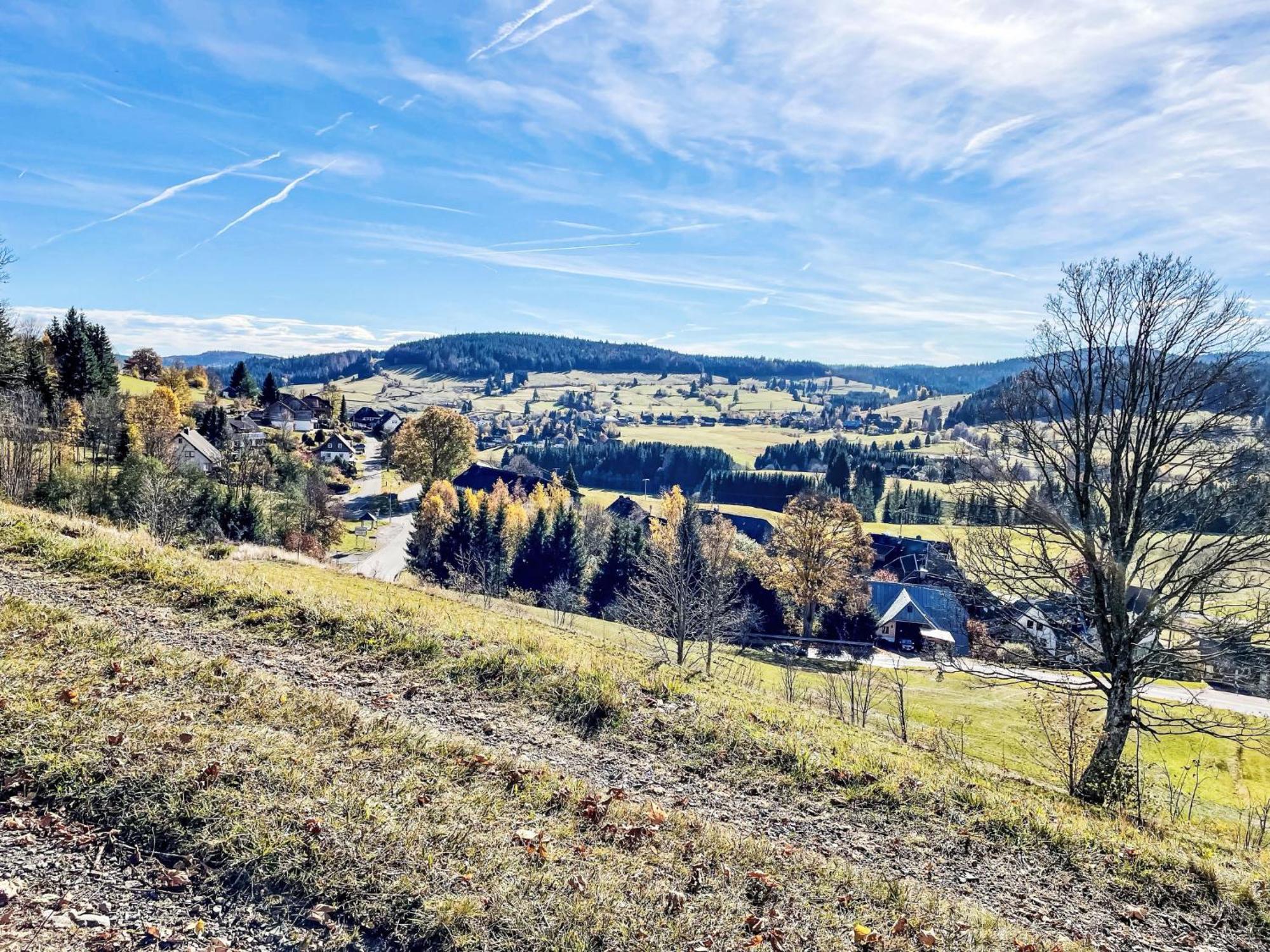 Holiday Home Rechbergblick - Beu302 By Interhome Bernau im Schwarzwald Dış mekan fotoğraf